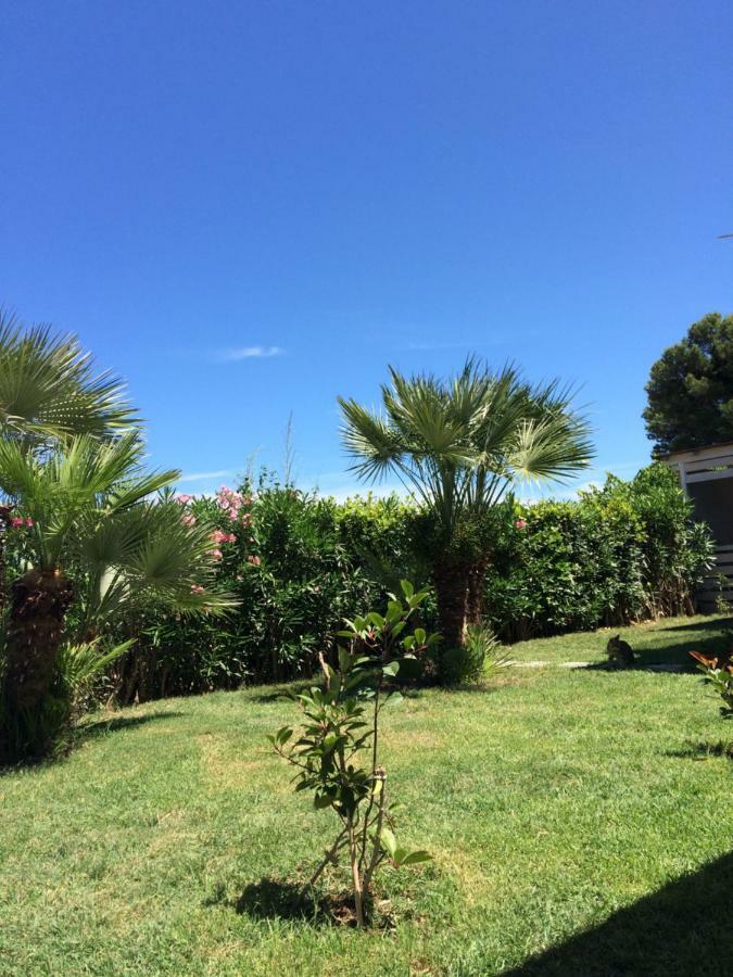 Casa "La Conchiglia" Bed and Breakfast Civitanova Marche Εξωτερικό φωτογραφία