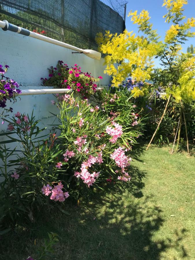 Casa "La Conchiglia" Bed and Breakfast Civitanova Marche Εξωτερικό φωτογραφία